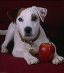 2847/p974545871_2899.png