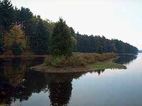 SchoolCenter Picture